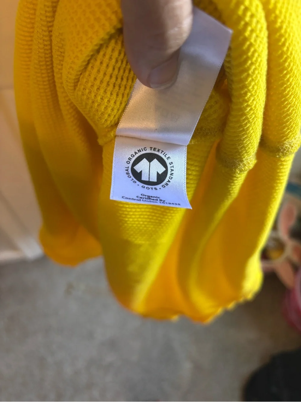 Everlane organic cotton